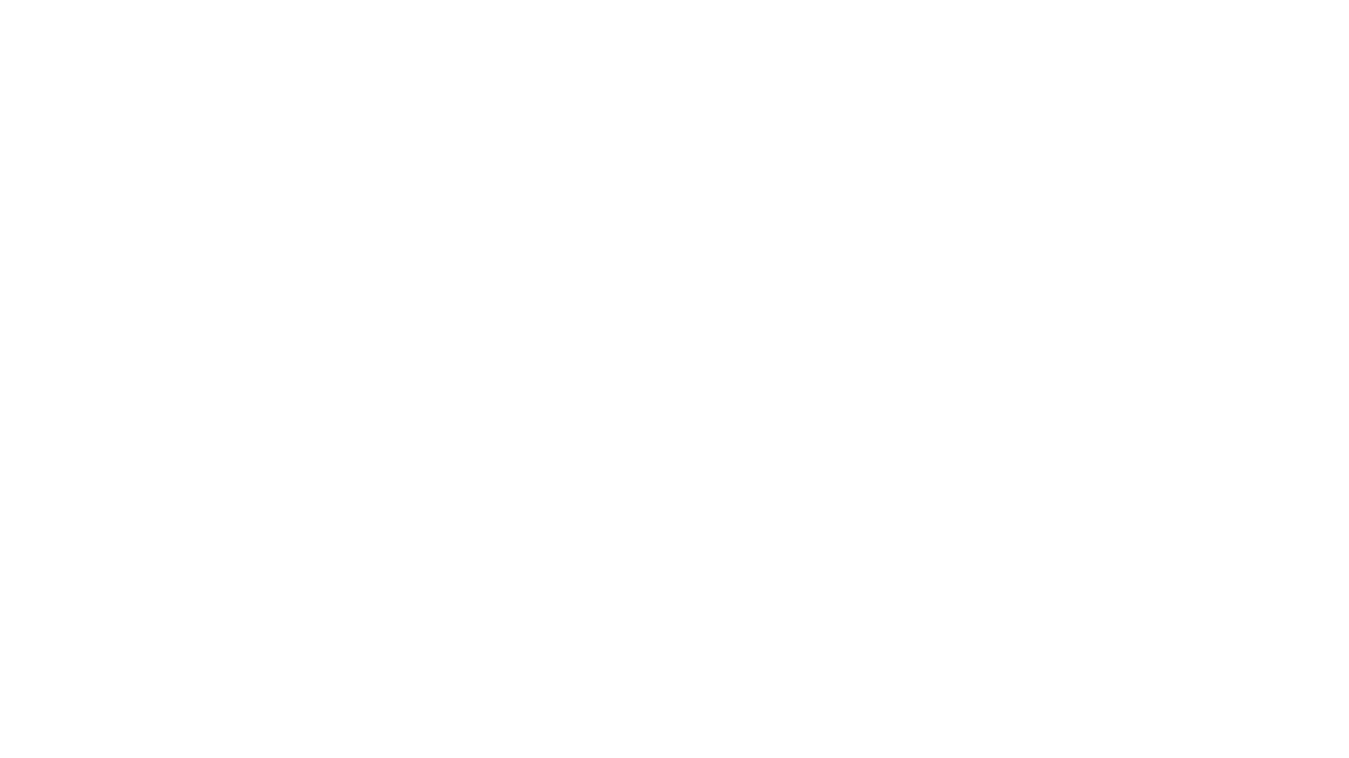 THE-FAME